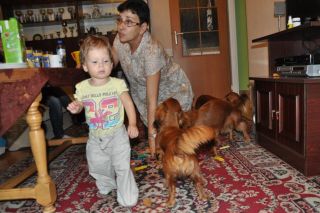 NADIM jamniki Kollapsar